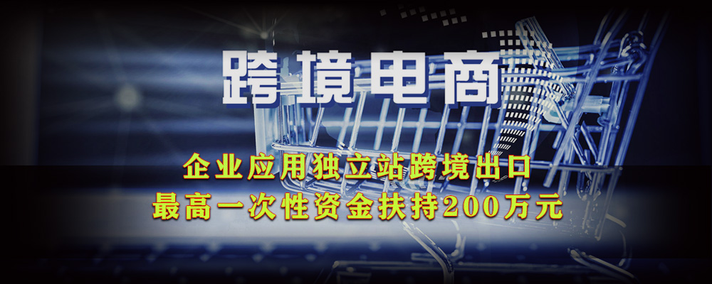 杭州市出台最高200万元资金扶持企业建设独立站.jpeg